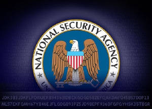 logo-nsa.jpg